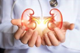 Kidney Transplant for Josmy
