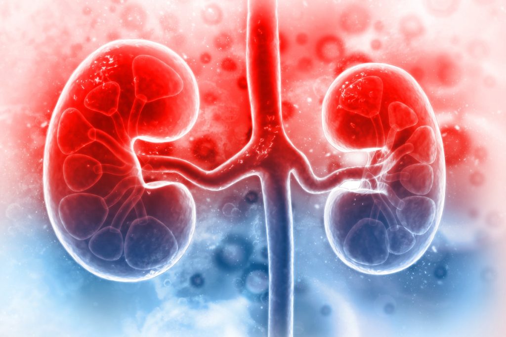 Dialysis charges for Rosamma